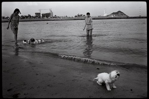 Shekou seaside (now occupied by high buildings). [Photographed in 1992] 